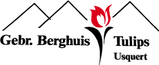 Berghuis Tulips Usquert